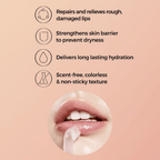 Balancium Ceramide Lip Butter Sleeping Mask 20g