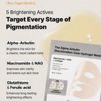 The Alpha-Arbutin Discoloration Care Hydrogel Mask (3 sheets)