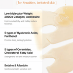 The Alpha-Arbutin Discoloration Care Hydrogel Mask (3 sheets)